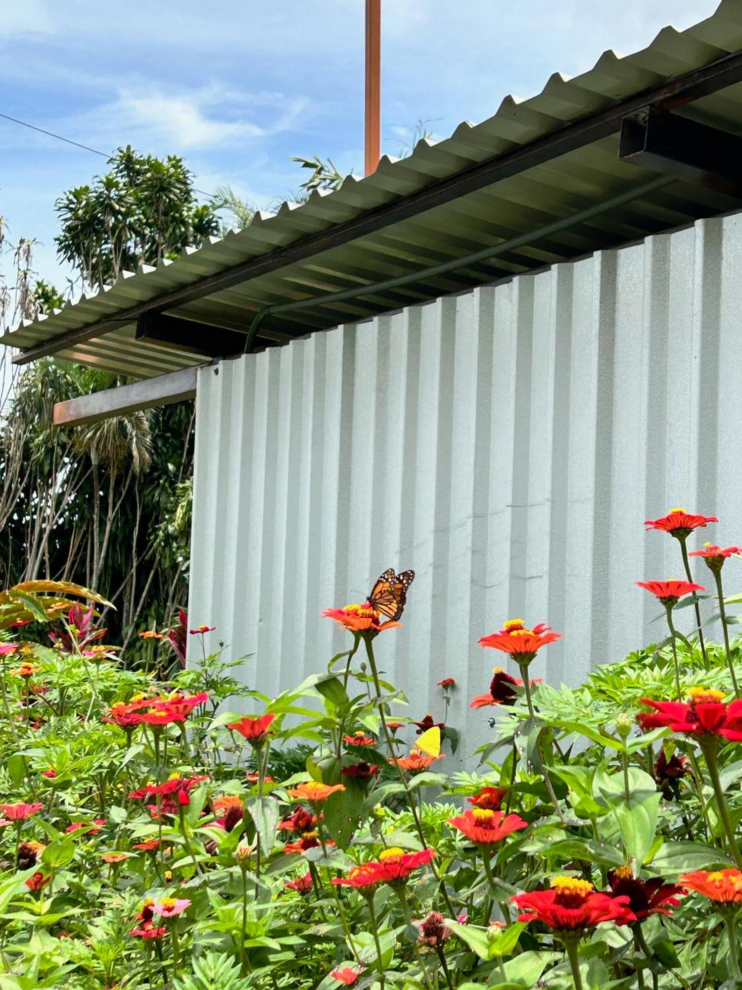 B&B Garden Grecia Ngoại thất bức ảnh