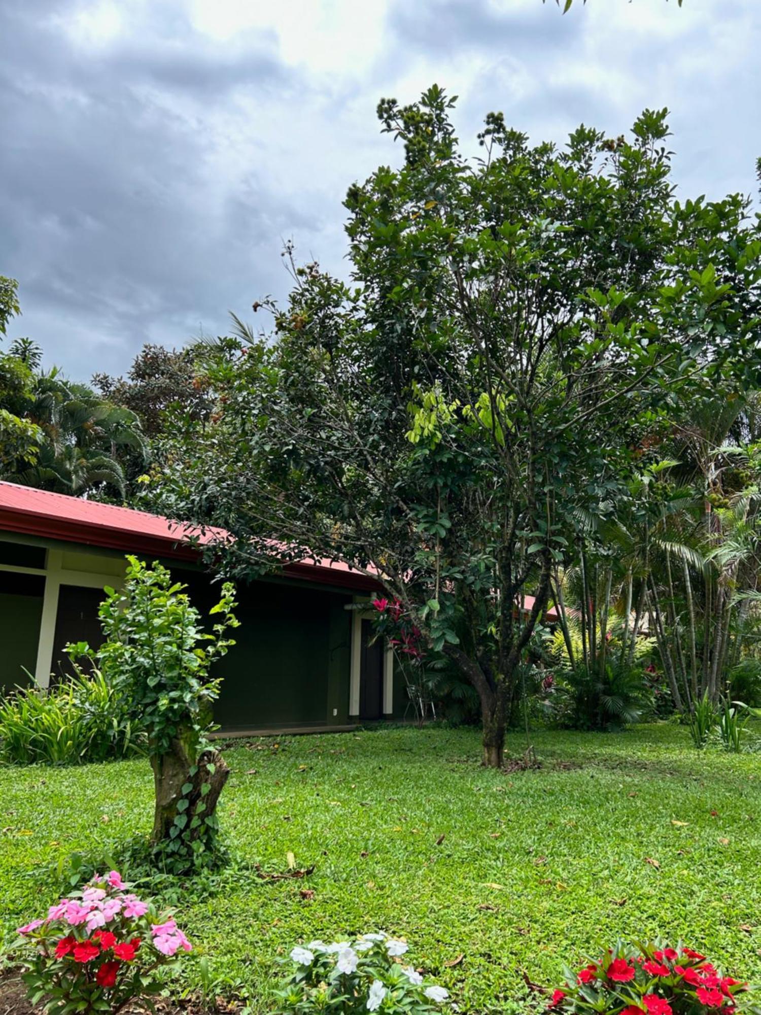 B&B Garden Grecia Ngoại thất bức ảnh